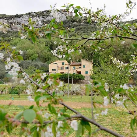 Agriturismo Alveare-2